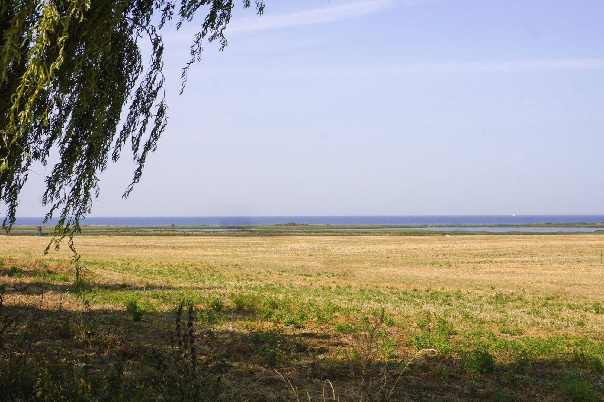 Duenenmeer Ferienwohnung Ostseebad Kühlungsborn Екстериор снимка